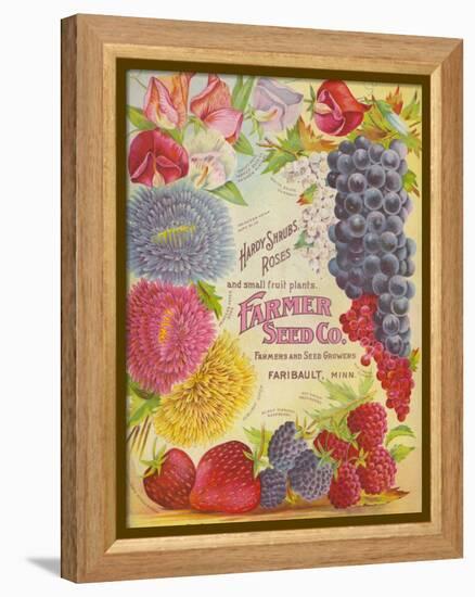 Seed Catalogues: Farmer Seed Co. Farm and Garden Seeds, Spring 1906-null-Framed Stretched Canvas