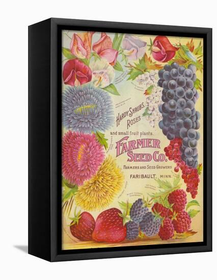 Seed Catalogues: Farmer Seed Co. Farm and Garden Seeds, Spring 1906-null-Framed Stretched Canvas