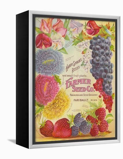 Seed Catalogues: Farmer Seed Co. Farm and Garden Seeds, Spring 1906-null-Framed Stretched Canvas