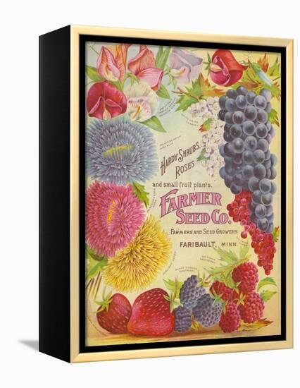 Seed Catalogues: Farmer Seed Co. Farm and Garden Seeds, Spring 1906-null-Framed Stretched Canvas