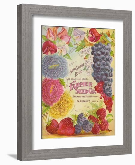 Seed Catalogues: Farmer Seed Co. Farm and Garden Seeds, Spring 1906-null-Framed Art Print