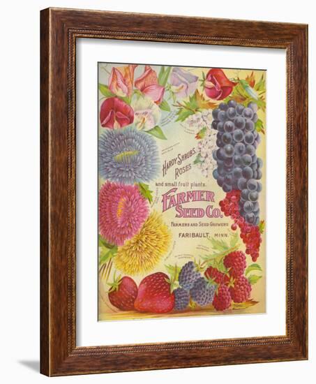 Seed Catalogues: Farmer Seed Co. Farm and Garden Seeds, Spring 1906-null-Framed Art Print