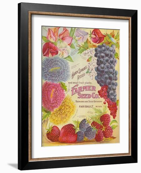 Seed Catalogues: Farmer Seed Co. Farm and Garden Seeds, Spring 1906-null-Framed Art Print