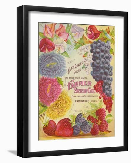 Seed Catalogues: Farmer Seed Co. Farm and Garden Seeds, Spring 1906-null-Framed Art Print