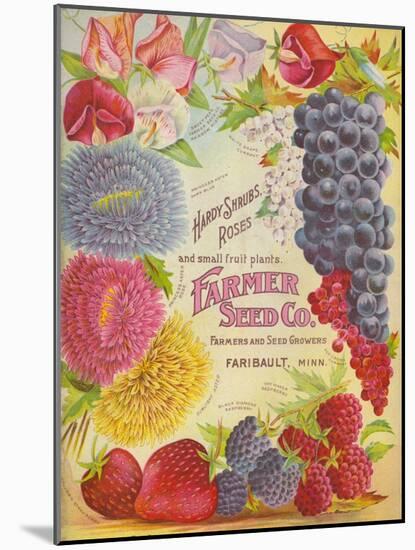 Seed Catalogues: Farmer Seed Co. Farm and Garden Seeds, Spring 1906-null-Mounted Art Print