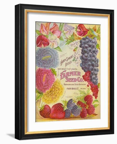 Seed Catalogues: Farmer Seed Co. Farm and Garden Seeds, Spring 1906-null-Framed Art Print