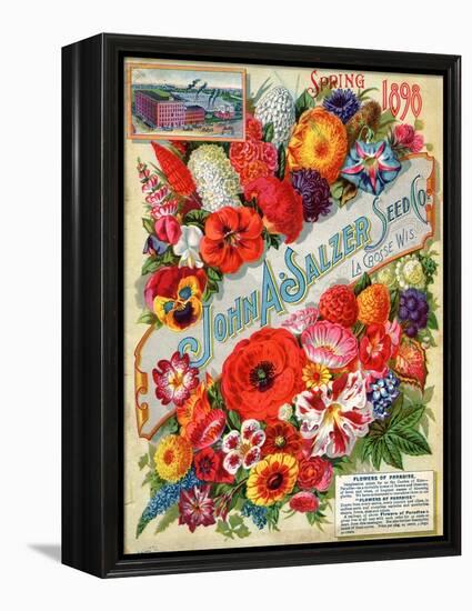 Seed Catalogues: John A. Salzer Seed Co. La Crosse, Wisconsin, Spring 1898-null-Framed Stretched Canvas