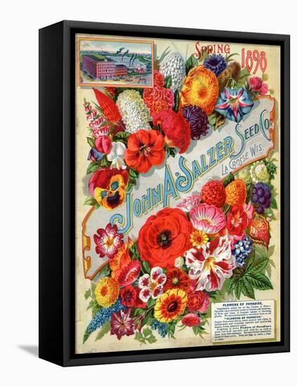 Seed Catalogues: John A. Salzer Seed Co. La Crosse, Wisconsin, Spring 1898-null-Framed Stretched Canvas