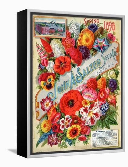 Seed Catalogues: John A. Salzer Seed Co. La Crosse, Wisconsin, Spring 1898-null-Framed Stretched Canvas