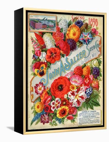 Seed Catalogues: John A. Salzer Seed Co. La Crosse, Wisconsin, Spring 1898-null-Framed Stretched Canvas