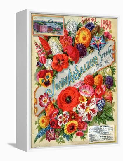 Seed Catalogues: John A. Salzer Seed Co. La Crosse, Wisconsin, Spring 1898-null-Framed Stretched Canvas