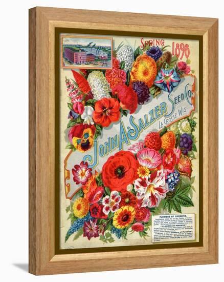 Seed Catalogues: John A. Salzer Seed Co. La Crosse, Wisconsin, Spring 1898-null-Framed Stretched Canvas