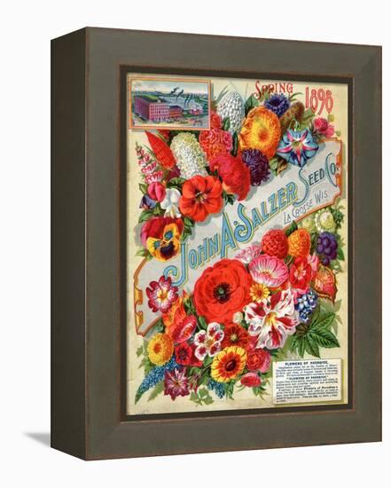 Seed Catalogues: John A. Salzer Seed Co. La Crosse, Wisconsin, Spring 1898-null-Framed Stretched Canvas