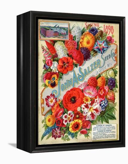 Seed Catalogues: John A. Salzer Seed Co. La Crosse, Wisconsin, Spring 1898-null-Framed Stretched Canvas