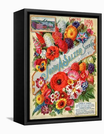 Seed Catalogues: John A. Salzer Seed Co. La Crosse, Wisconsin, Spring 1898-null-Framed Stretched Canvas