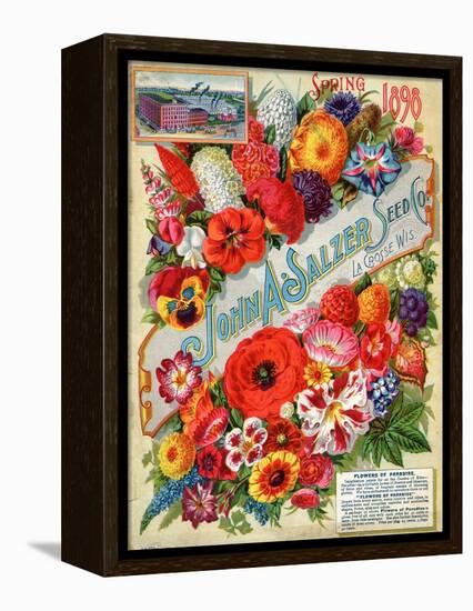 Seed Catalogues: John A. Salzer Seed Co. La Crosse, Wisconsin, Spring 1898-null-Framed Stretched Canvas