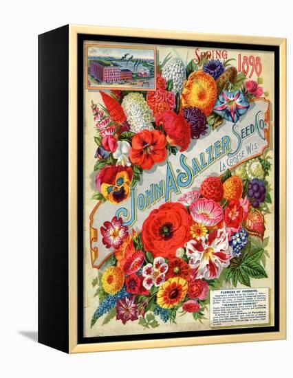 Seed Catalogues: John A. Salzer Seed Co. La Crosse, Wisconsin, Spring 1898-null-Framed Stretched Canvas