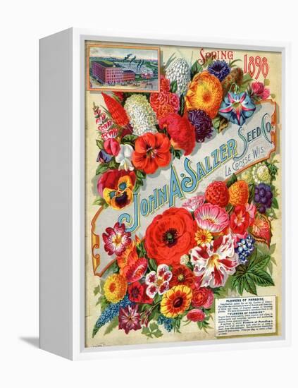 Seed Catalogues: John A. Salzer Seed Co. La Crosse, Wisconsin, Spring 1898-null-Framed Stretched Canvas