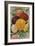 Seed Catalogues: John Gardiner and Co, Philadelphia, Pennsylvania. Seed Annual, 1896-null-Framed Premium Giclee Print