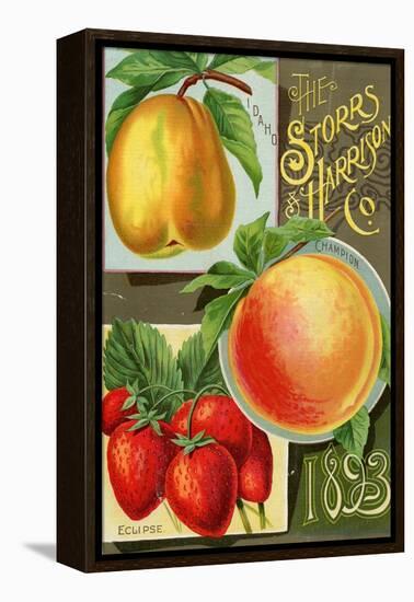 Seed Catalogues: Storrs and Harrison, Co. Painesville, OH, 1893-null-Framed Stretched Canvas