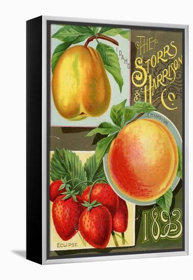 Seed Catalogues: Storrs and Harrison, Co. Painesville, OH, 1893-null-Framed Stretched Canvas