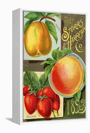 Seed Catalogues: Storrs and Harrison, Co. Painesville, OH, 1893-null-Framed Stretched Canvas