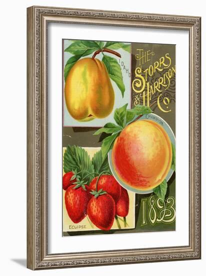 Seed Catalogues: Storrs and Harrison, Co. Painesville, OH, 1893-null-Framed Art Print