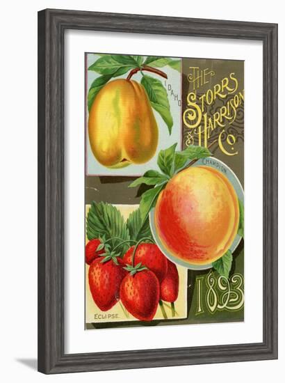 Seed Catalogues: Storrs and Harrison, Co. Painesville, OH, 1893-null-Framed Art Print
