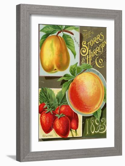 Seed Catalogues: Storrs and Harrison, Co. Painesville, OH, 1893-null-Framed Art Print