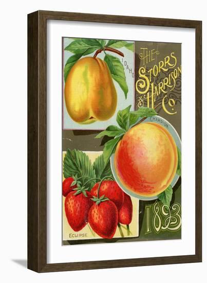 Seed Catalogues: Storrs and Harrison, Co. Painesville, OH, 1893-null-Framed Art Print