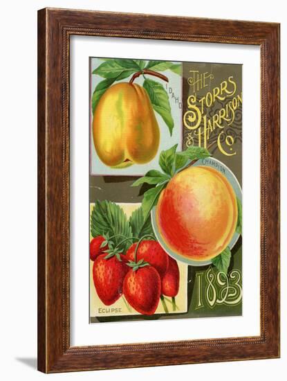 Seed Catalogues: Storrs and Harrison, Co. Painesville, OH, 1893-null-Framed Art Print