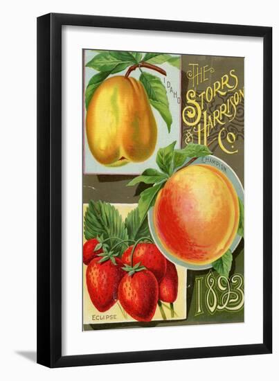 Seed Catalogues: Storrs and Harrison, Co. Painesville, OH, 1893-null-Framed Art Print