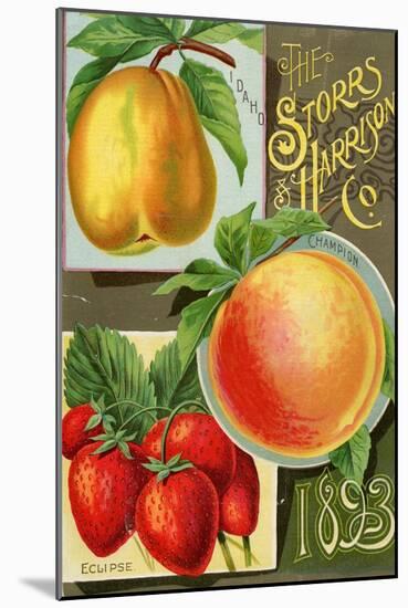 Seed Catalogues: Storrs and Harrison, Co. Painesville, OH, 1893-null-Mounted Art Print