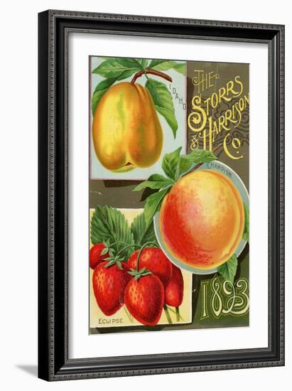 Seed Catalogues: Storrs and Harrison, Co. Painesville, OH, 1893-null-Framed Art Print