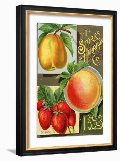 Seed Catalogues: Storrs and Harrison, Co. Painesville, OH, 1893-null-Framed Art Print