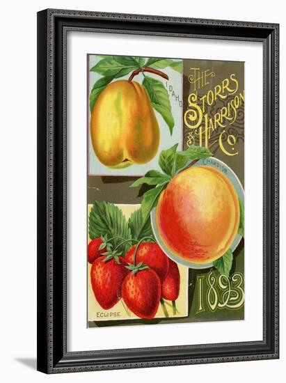 Seed Catalogues: Storrs and Harrison, Co. Painesville, OH, 1893-null-Framed Premium Giclee Print