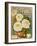 Seed Catalogues: The Geo. H. Mellen Co. Condensed Catalogue of Special Offers-null-Framed Art Print