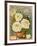 Seed Catalogues: The Geo. H. Mellen Co. Condensed Catalogue of Special Offers-null-Framed Art Print