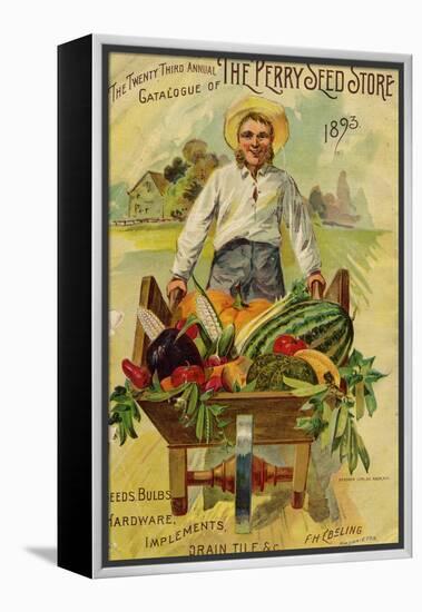 Seed Catalogues: The Perry Seed Store. Syracuse, NY, 1893-null-Framed Stretched Canvas