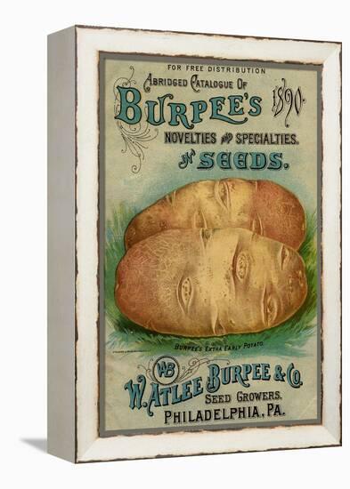 Seed Catalogues: W. Atlee Burpee and Co. Abridged Catalogue of Novelties and Specialties in Seeds-null-Framed Stretched Canvas