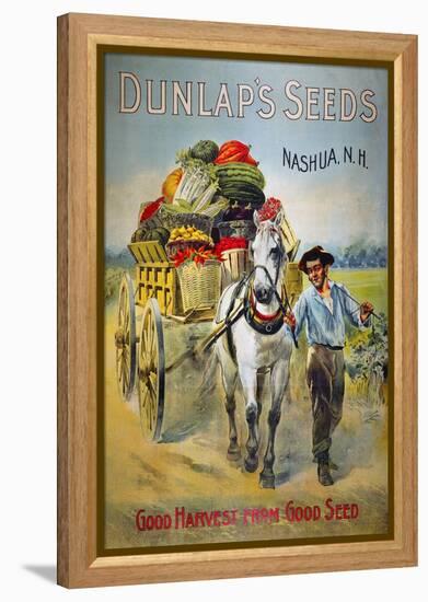 Seed Company Poster, C1880-null-Framed Premier Image Canvas