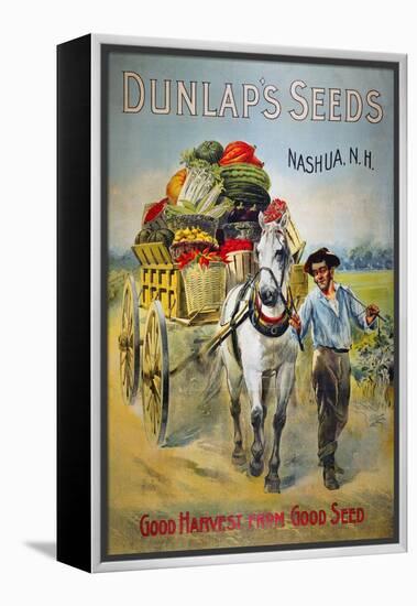 Seed Company Poster, C1880-null-Framed Premier Image Canvas