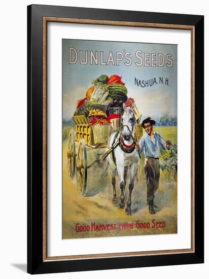 Seed Company Poster, C1880-null-Framed Giclee Print