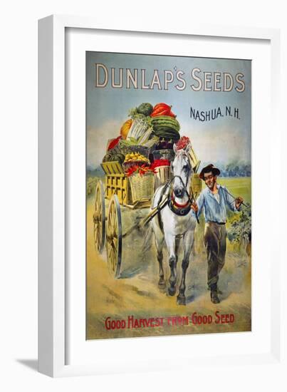 Seed Company Poster, C1880-null-Framed Giclee Print