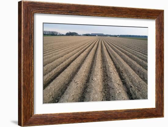 Seed Furrows in Ploughed Field, German/Dutch Border Near Venlo, North Rhine-Westphalia, Germany-null-Framed Photographic Print
