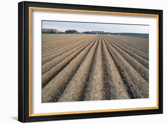 Seed Furrows in Ploughed Field, German/Dutch Border Near Venlo, North Rhine-Westphalia, Germany-null-Framed Photographic Print