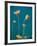 Seed Heads, Assos, Kefalonia (Cephalonia), Greece, Europe-Robert Harding-Framed Photographic Print