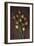 Seed Heads-Den Reader-Framed Photographic Print