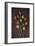 Seed Heads-Den Reader-Framed Photographic Print