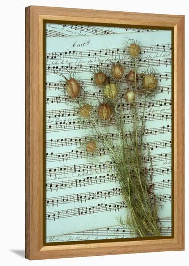 Seed Heads-Den Reader-Framed Premier Image Canvas